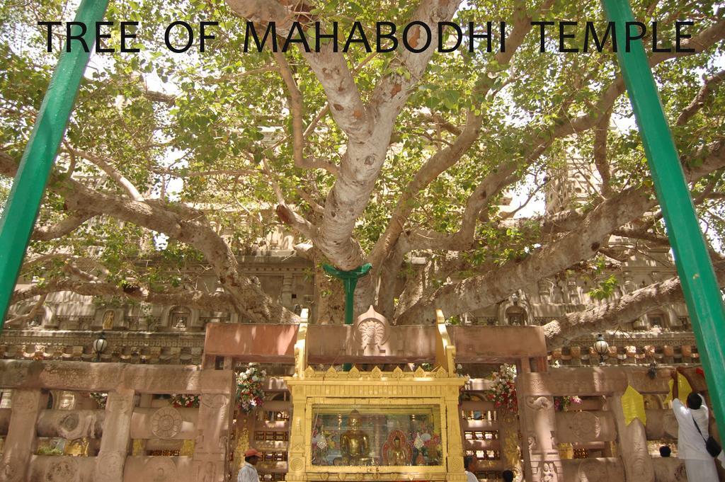 Hotel Lumbini International Bodh Gaya Exteriör bild